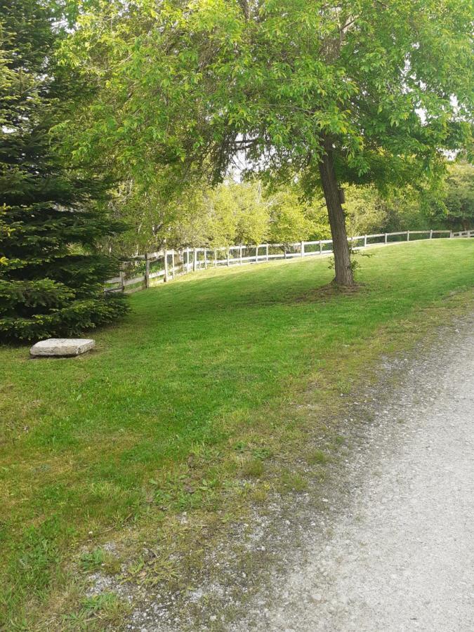 Auverg'Nature Chambre Combrailles Espinasse Exterior foto